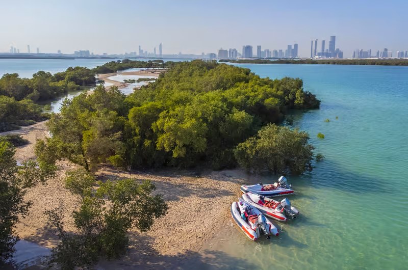 Mangrove island with Abu Dhabi skyline