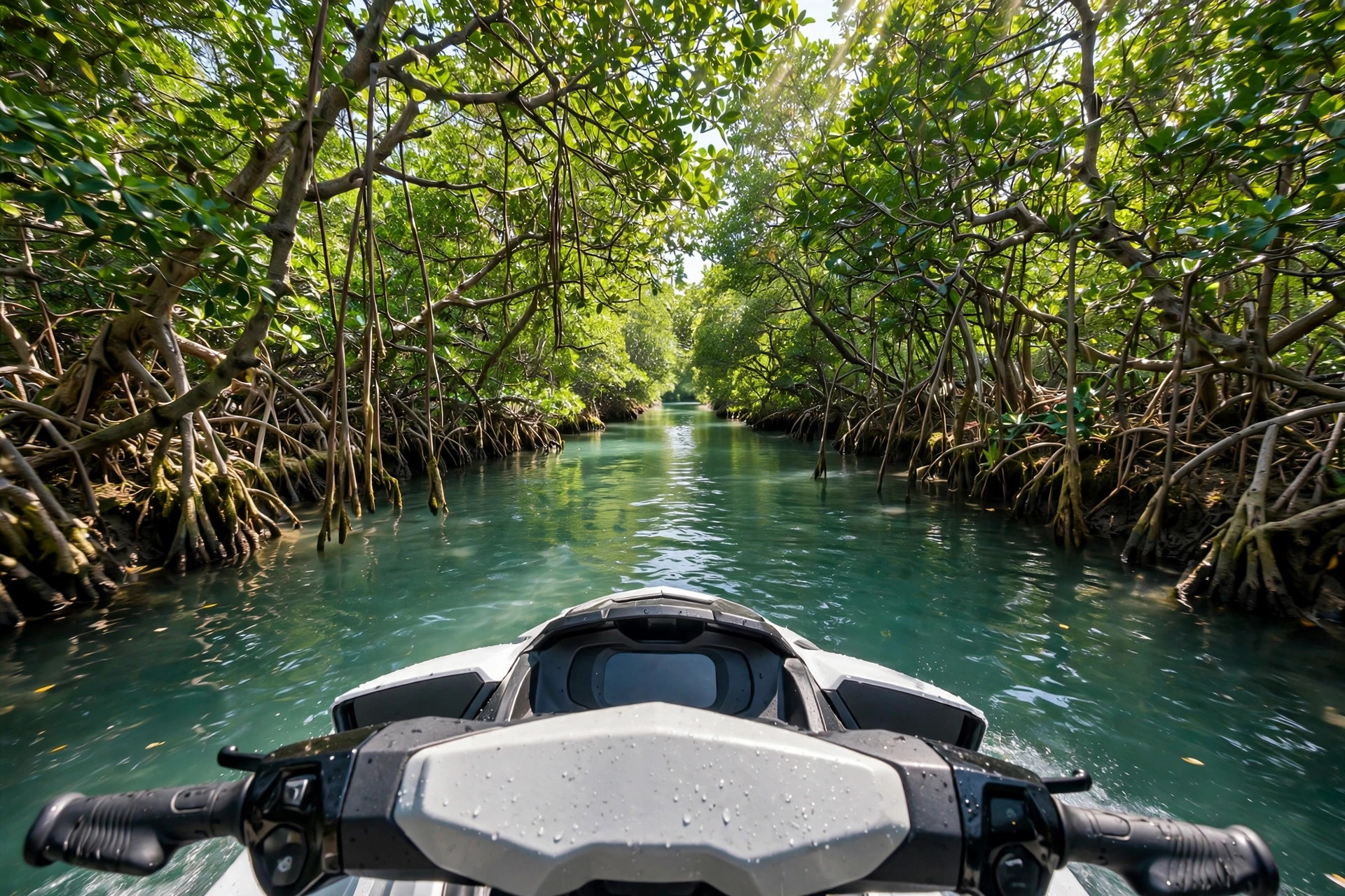 Rider view from a jet ski gliding through a mangrove channel